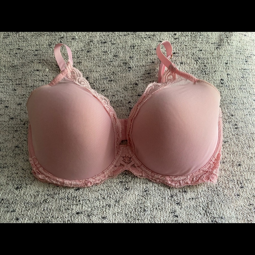 Natori Feathers Bra 34G Pink
